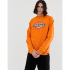 fBbL[Y p[J[EXEFbgVc Y Dickies Harrison sweatshirt with small logo in orange Orange